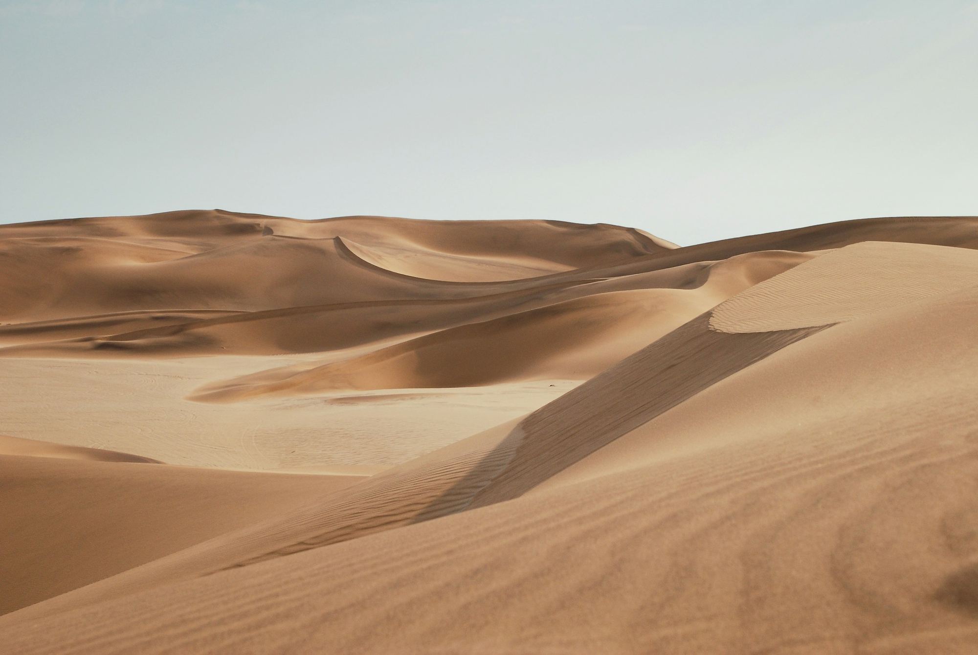Soft desert dunes under a pale sky