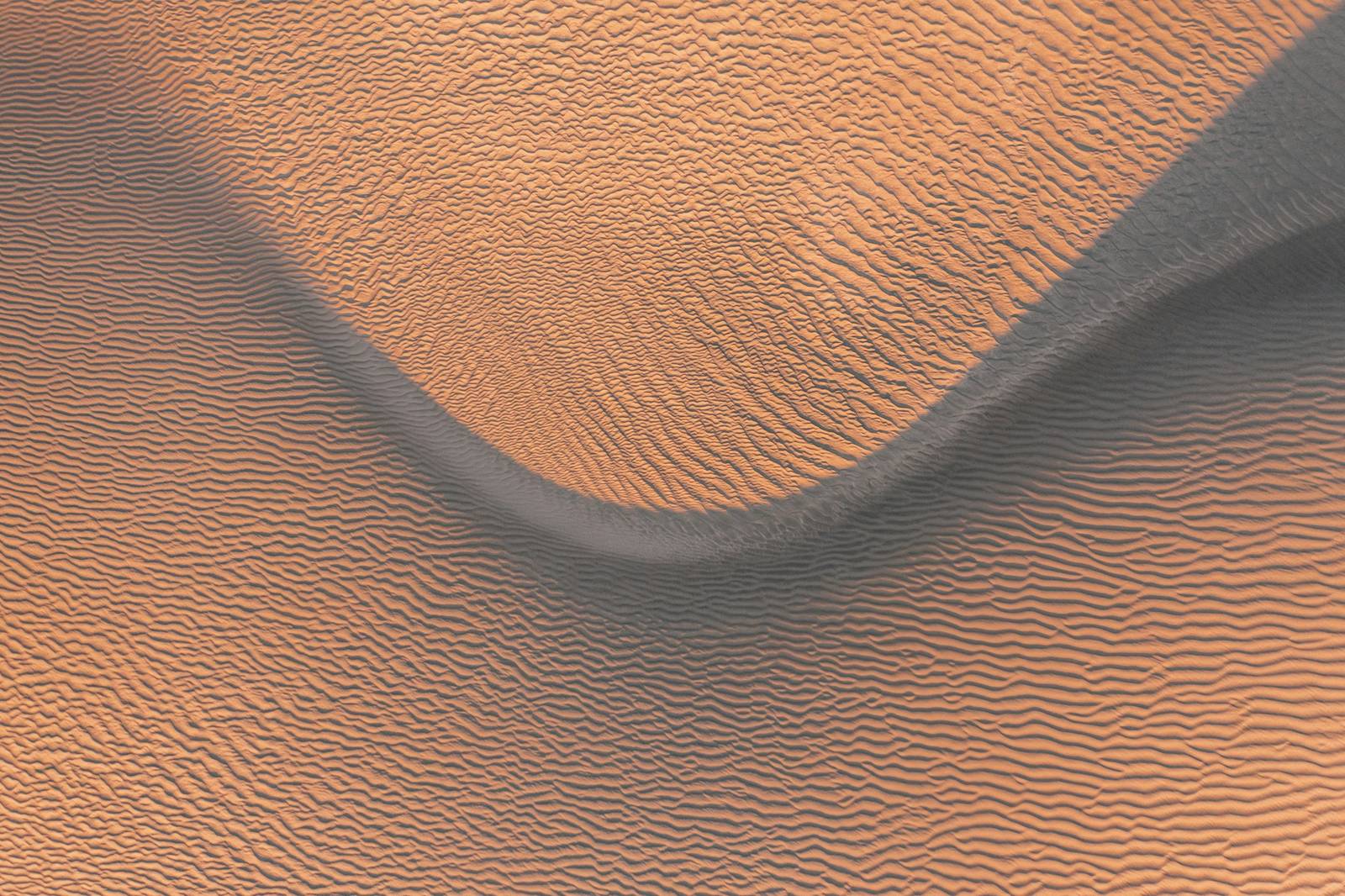 Wind-formed ripples across a sand dune